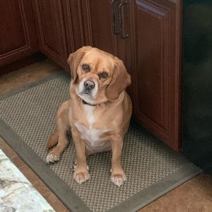 Meet your Posher, Megan